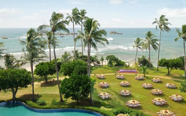 Hikka Tranz by Cinnamon