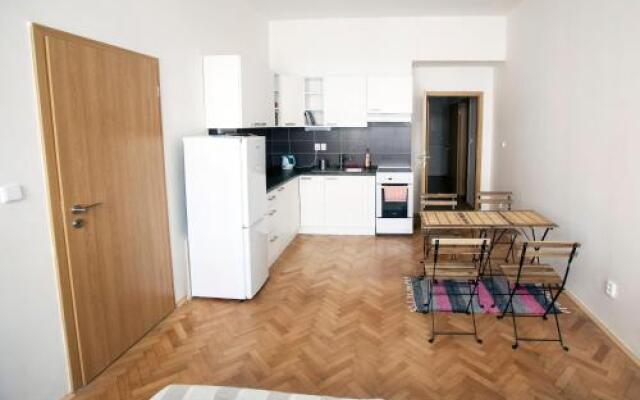 Comfortable Apartment Vlkova