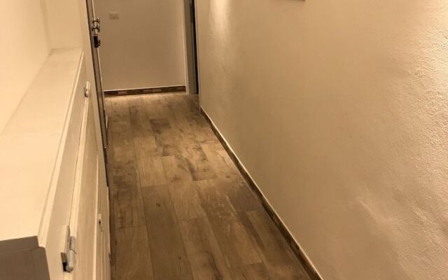 Il giardino dei limoni