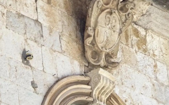 Takoma Hvar