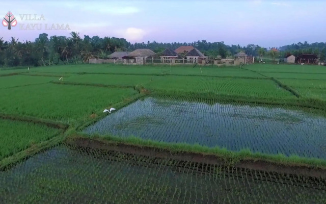 Villa Kayu Lama