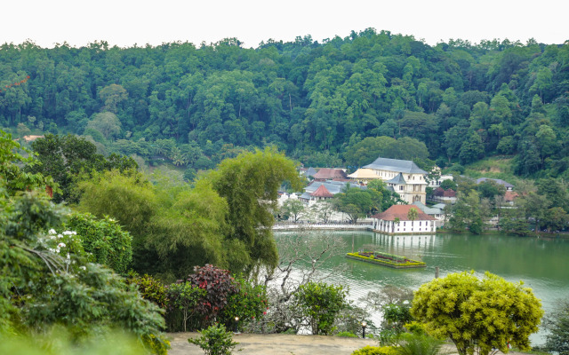 Castle Hill Bungalow