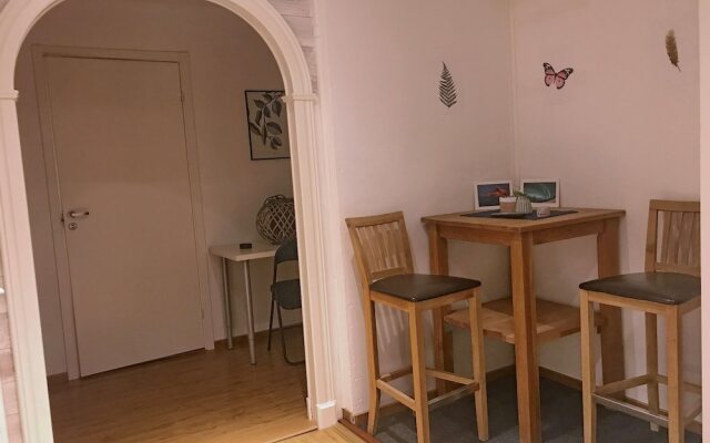 Nordic Borealis House