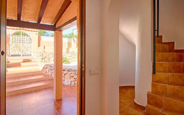 Roma (CLP235)