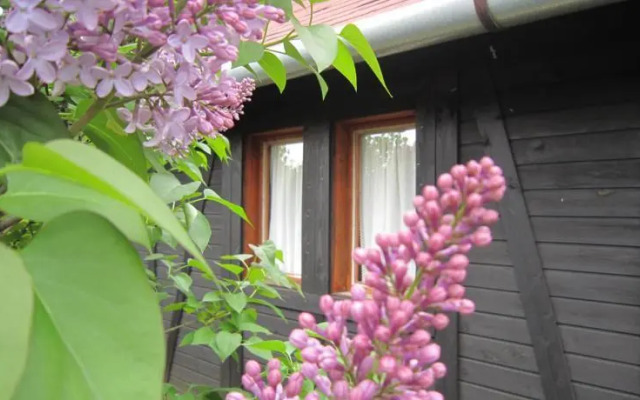 Sóstói Lovaskemping és Turistaház