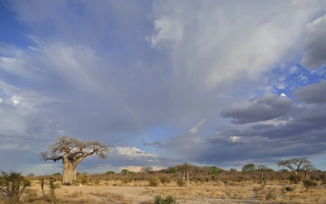 Ruaha Dream Villa
