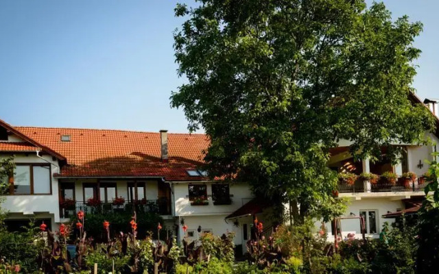 Pensiunea Tinion Zarnesti