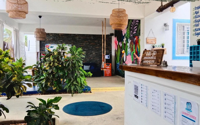 Tribe Inn & Rooftop Lounge