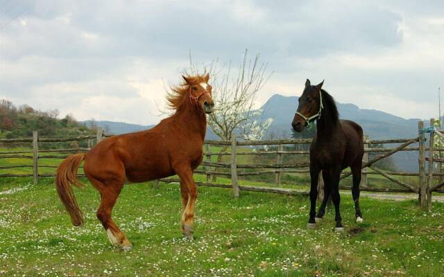 La Collina delle Stelle