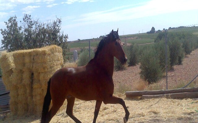 Humedales de Daimiel