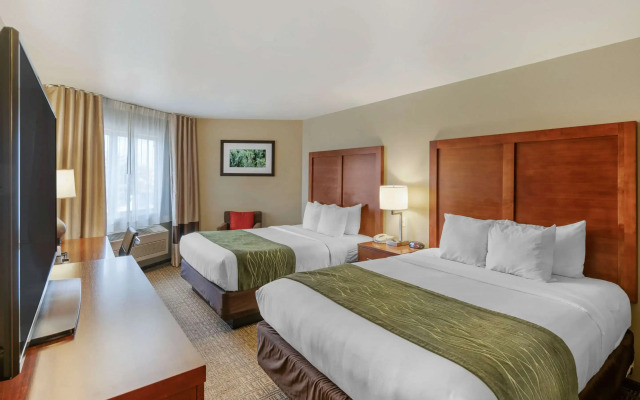 Comfort Inn University