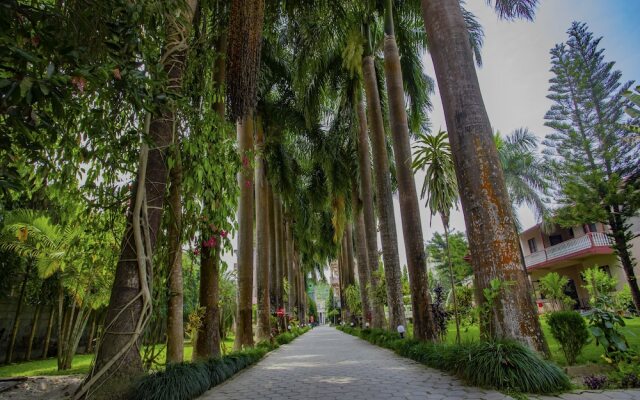 Jungle Nepal Resort
