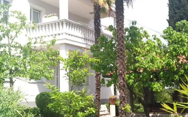 Apartments Jovic 377