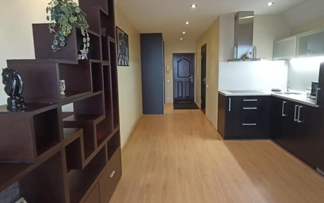 Specious Studio Apartment near of Town Center and Park, up to 4guests