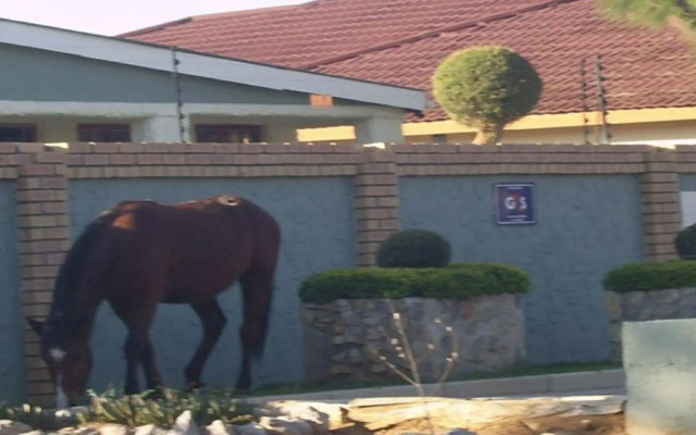 Berry Bliss Guest House