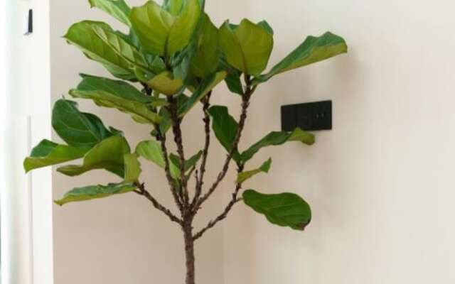 Foshan Wowa International Aparthotel