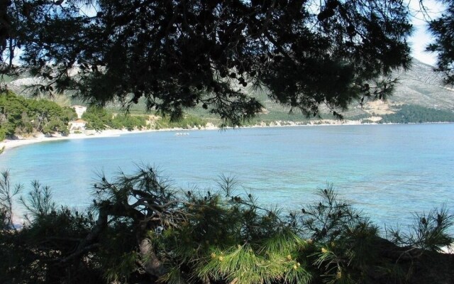 Lucky - 150m From the sea - A4