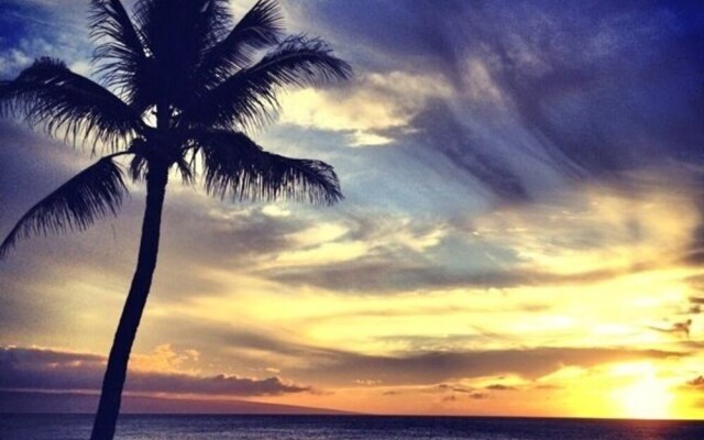 Lil Grass Shack-103 Studio Bedroom Condo