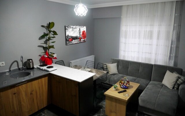 Dagkent Plus Suites Apartment