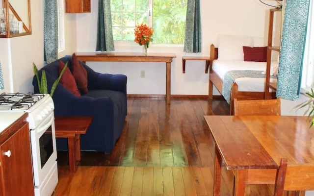 One World Rentals