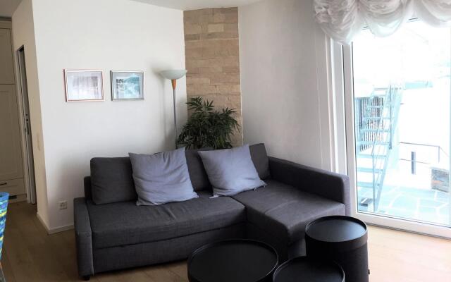 Direct on Lugano Lake Take a Swim From Your Villa