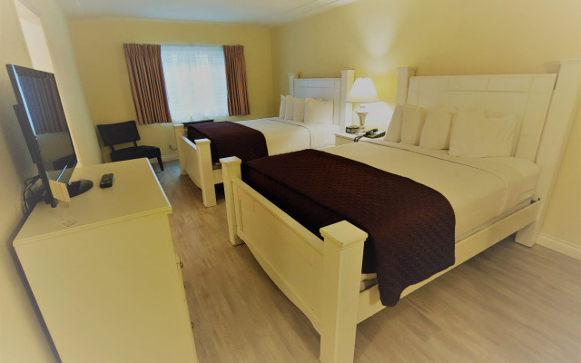 Hollywood Celebrity Hotel