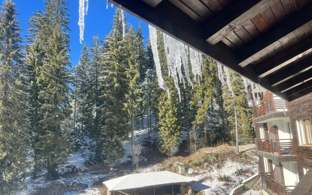 Stream Resort