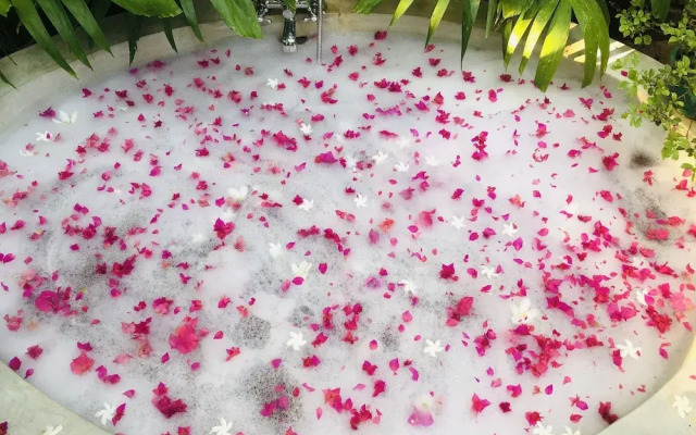 Plumeria Luxury Villas