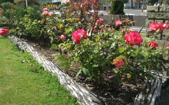 Rose Court Motel, Rotorua