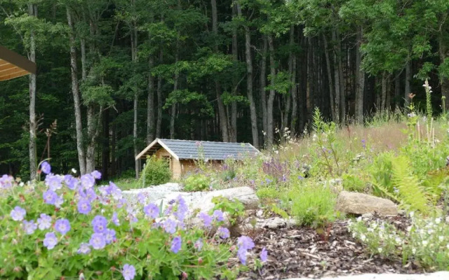 Kraftquelle Waldhäuser