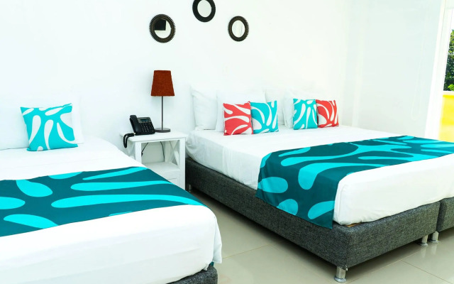 Caribbean Coral