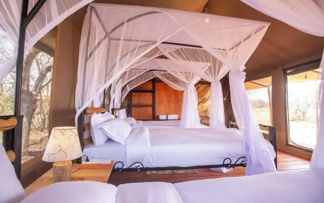 House Of Nature Serengeti