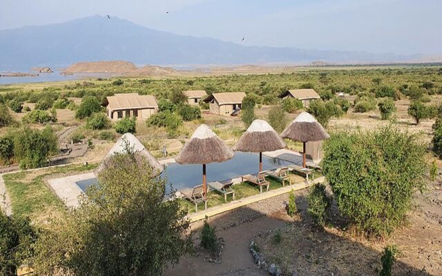 Africa Safari Lake Natron