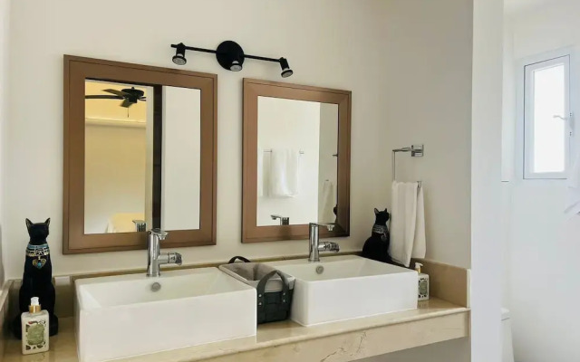 La Diosa Condos penthouse w plunge pool