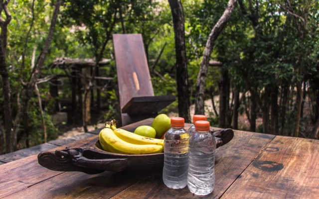 Roc Jungle Tulum