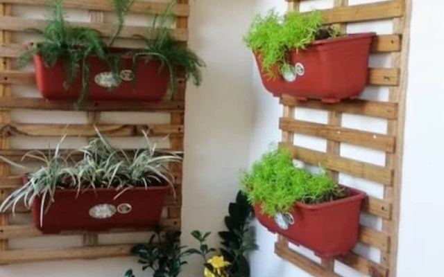 San Roque Hostal