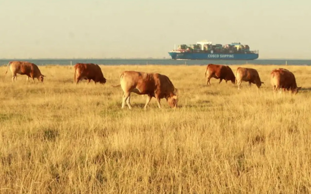Starfish Modern Retreat