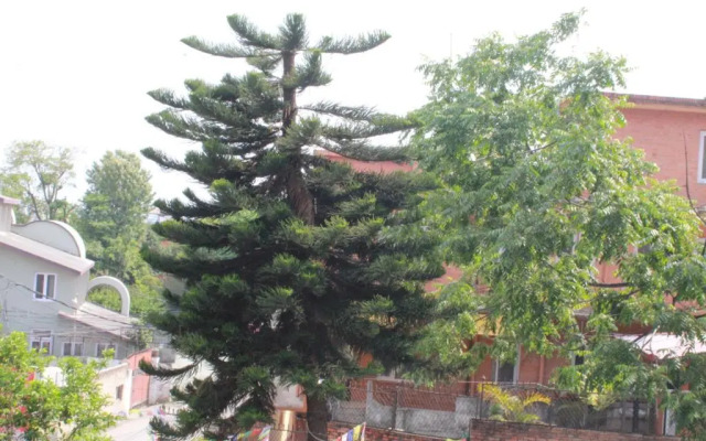 Best Hostel
