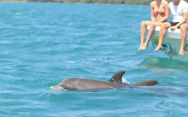 Aldea Zama Penthouse w Private Rooftop Jacuzzi