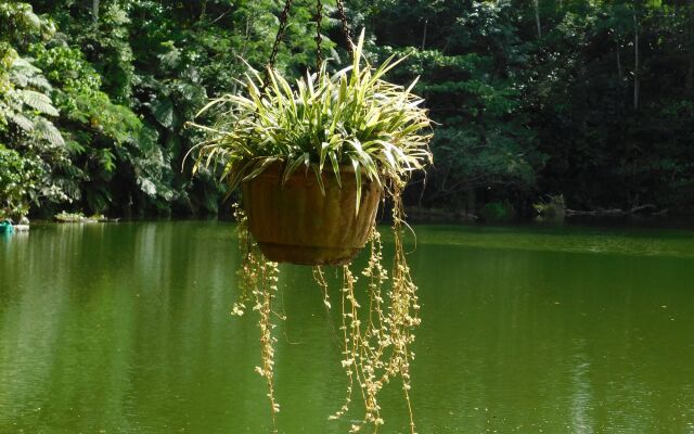 Rainforest Eco Lodge