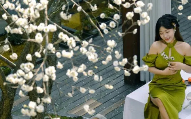 Hangzhou Shuimo Zhuang Private Home Forest Hotel (Chaoshan Scenic Area)