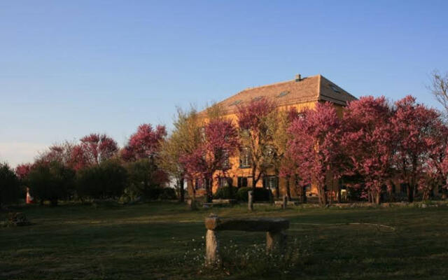 Domus Selecta 26Labrador.es