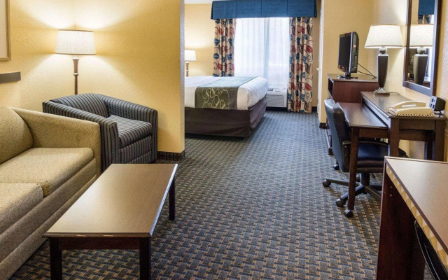 Comfort Suites Nacogdoches