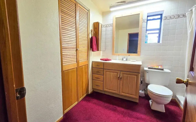 Vigilante Inn Immortal Camp