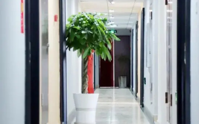 Panzhihua fifteen Guesthouse