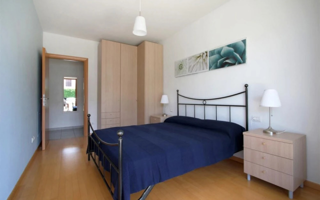 Benacus - Italian Homing