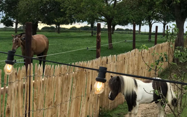 Tussen de paarden @ De Hoeveschuur