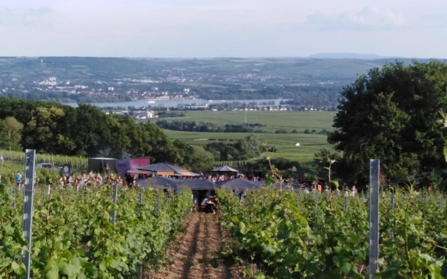 Rheingau und Weltkulturerbe Mittelrheintal erleben - Ferienappartement in Winkel