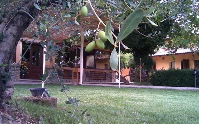 Agriturismo le Spighe - Fattoria Bertaccini