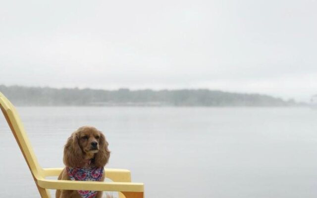 Calm Waters Cabin Resort